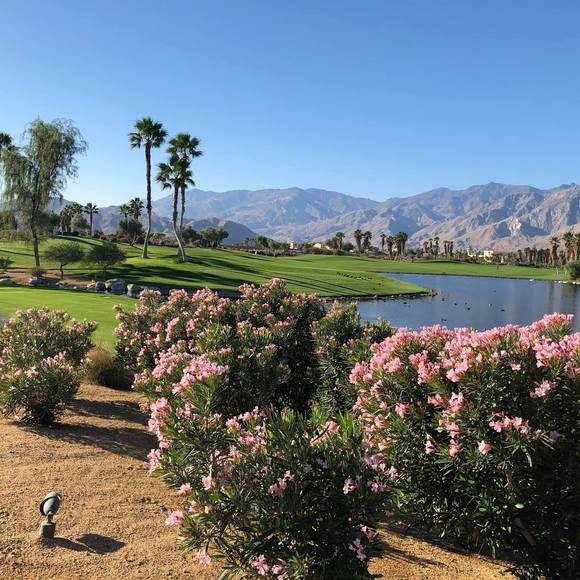 Meet your Posher, Joanne - Picture 1 of 1